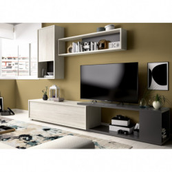 Mueble de salón, mueble tv acabado gris y grafito, con posición de rinconera.